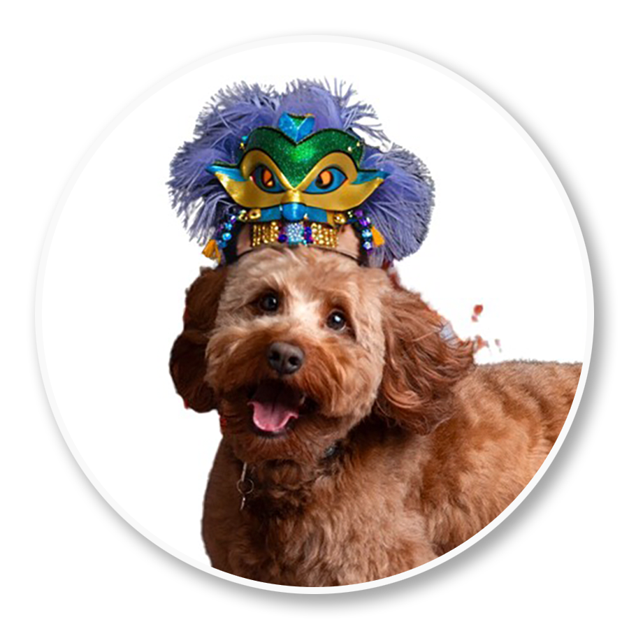 Donate in honor of Duke Alan Watson