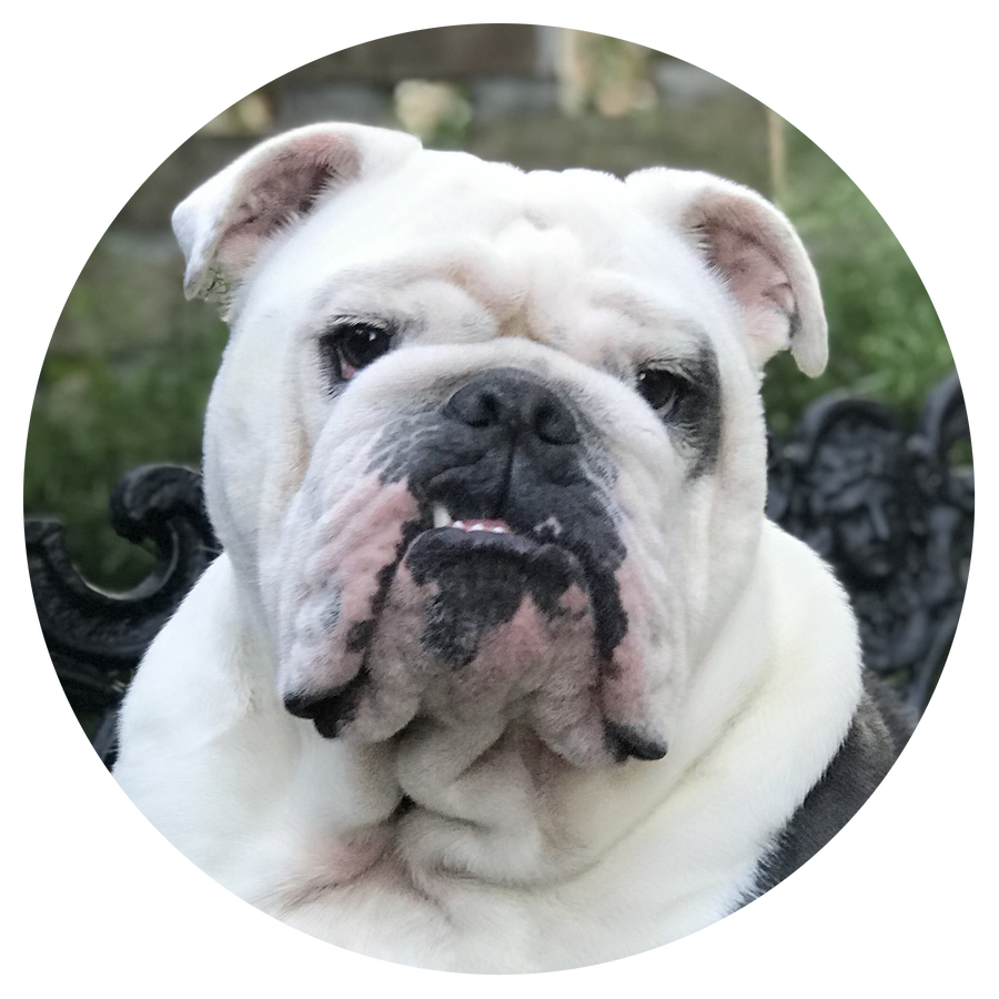 Donate in honor of King Bentley Burton Jurgens