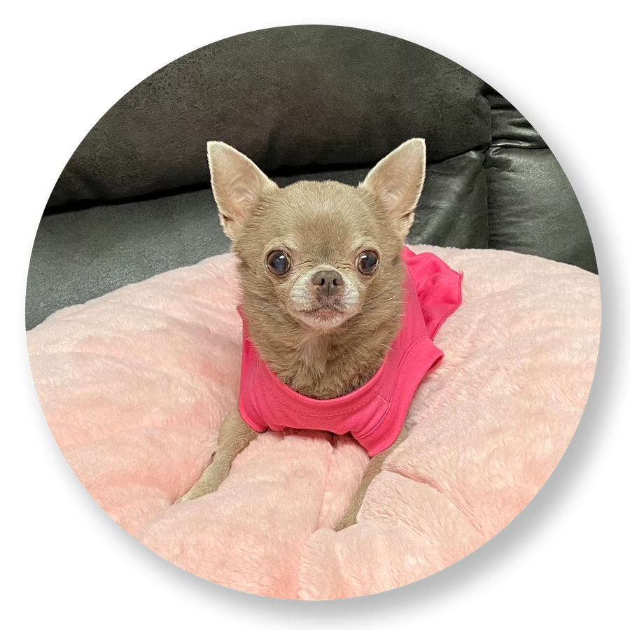 Donate in honor of Princess Royale My’iah Terrebonne