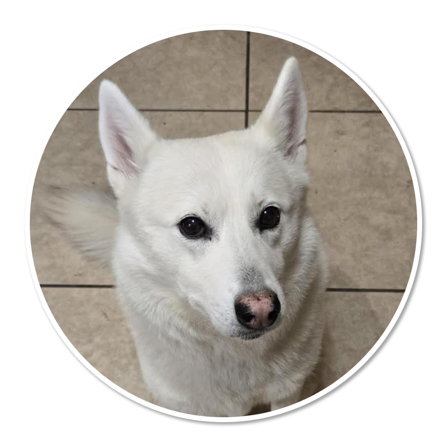 Donate in honor of Duchess Winter d'Gouffre