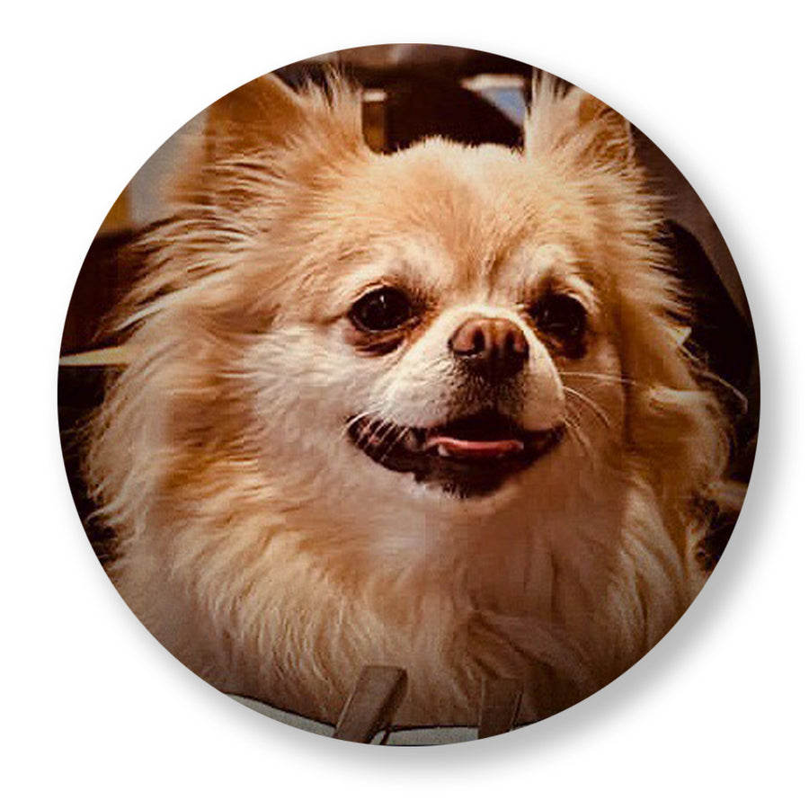 Donate in honor of Duke MeMo ‘Mozart’ Mackey