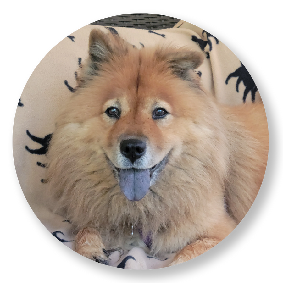 Donate in honor of Grand Dame Velvet Turoff