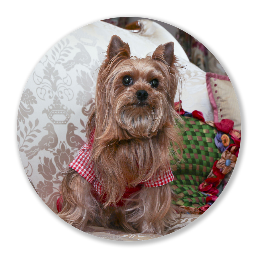 Donate in honor of King Petey Benson