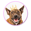 Load image into Gallery viewer, queen-drift-page.png

