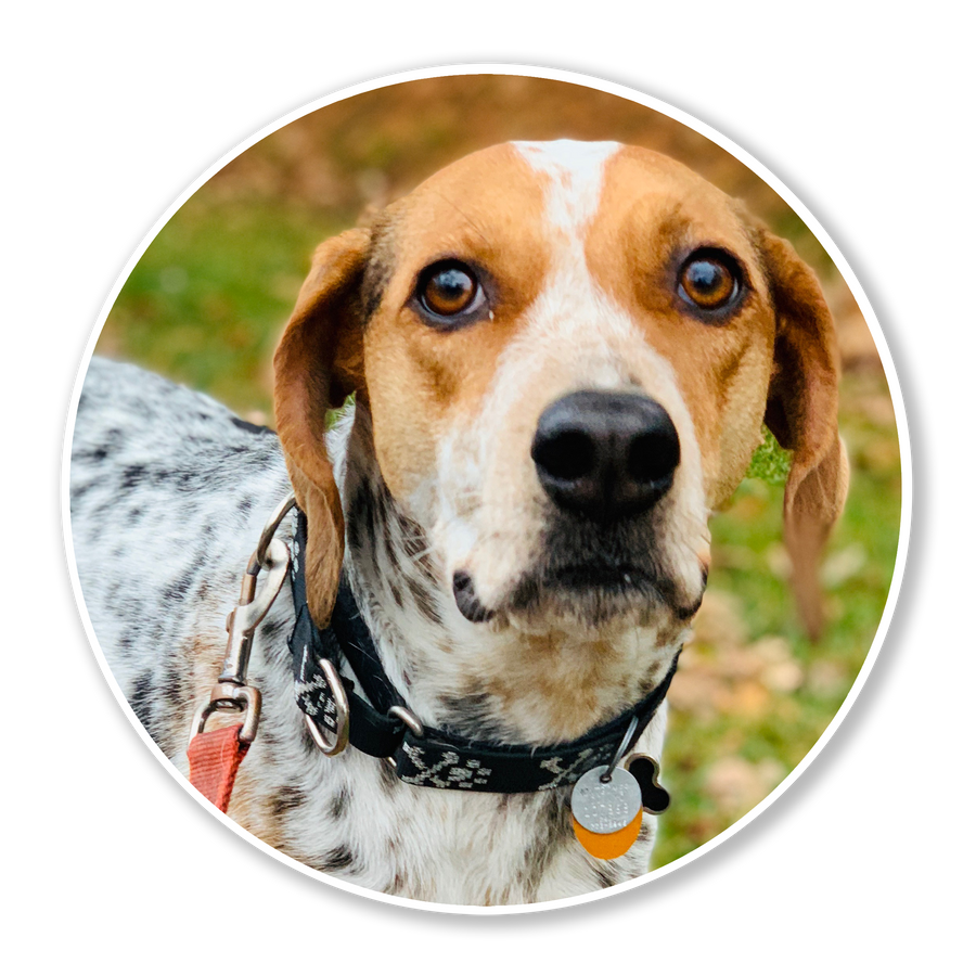 Donate in honor of Queen Ruthie Sable