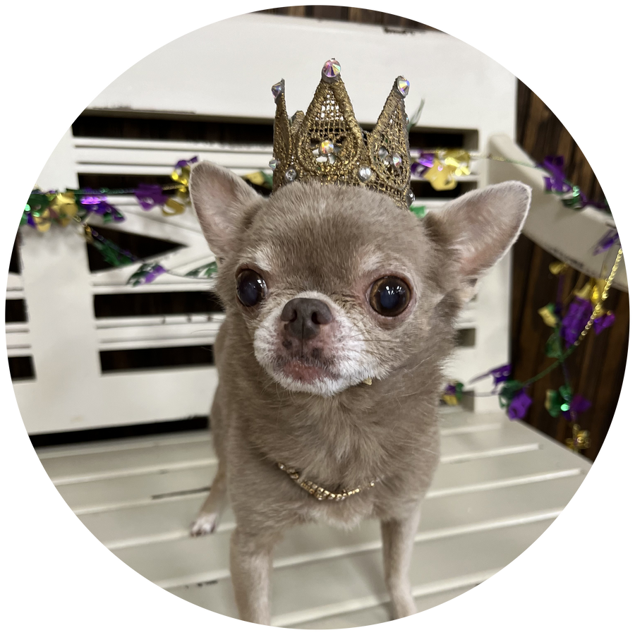 Donate in honor of Princess Royale My’iah Terrebonne