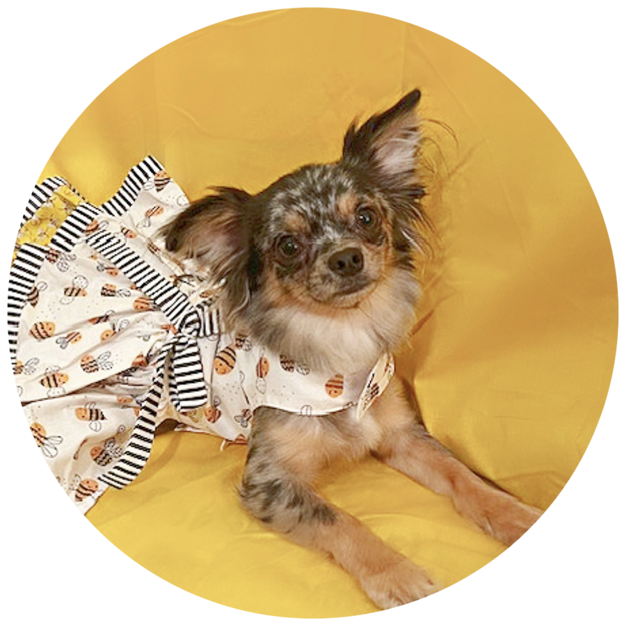 Grand Duchess Truffles Bush