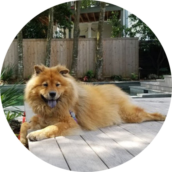 Donate in honor of Grand Dame Velvet Turoff