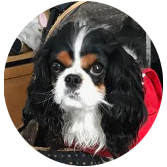 Donate in honor of Duke Cooper