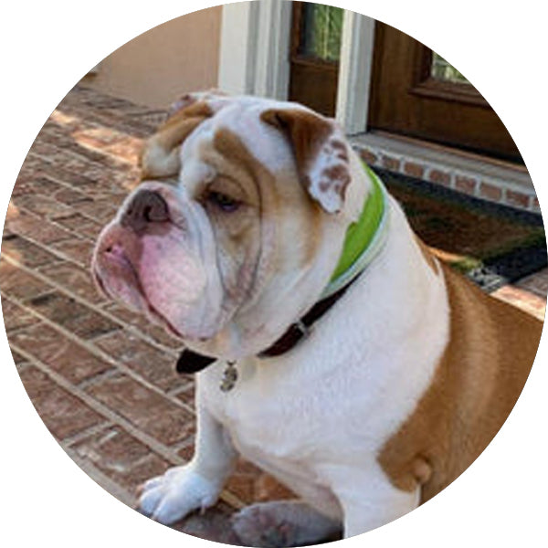 Donate in honor of Grand Duke Gumbeaux “Beaux” Pittman